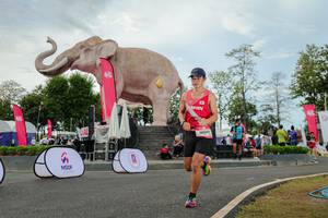 BIB: 
                            <button type="button" onclick="openModal(26528750)" class="btn btn-primary btn-sm float-right btn-popup" data-toggle="modal" data-target=".modal-high-quality">
                        <i class="fas fa-shopping-cart"></i> Add to Cart
                    </button>
                                            <button type="button" onclick="isThisMe(26528750, true)" class="btn btn-success btn-sm float-right btn-popup btn-isme hidden" data-toggle="tooltip" data-placement="bottom" title="นี่คือรูปของคุณใช่ไหม คลิกที่นี่เพื่อเอาเข้าอัลบั้ม">
                        <i class="fas fa-plus"></i> Add to album
                    </button>
                    <button type="button" onclick="isThisMe(26528750, false)" class="btn btn-warning btn-sm float-right btn-popup btn-isnotme hidden">
                        <i class="fas fa-ban"></i> Remove from album
                    </button>